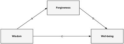 Wisdom and wellbeing in polish older adults: the mediating role of forgiveness